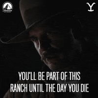 Paramount Network GIF by Yellowstone