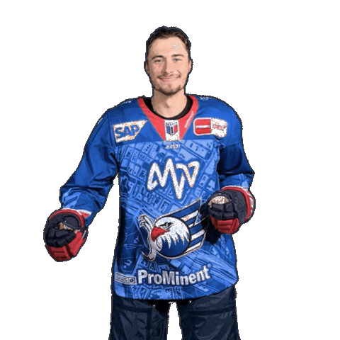 Dance Sticker by Adler Mannheim