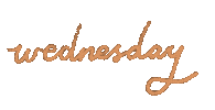 Wednesday Sticker