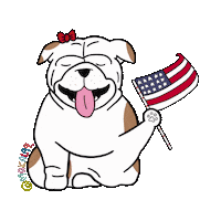 American Usa Sticker