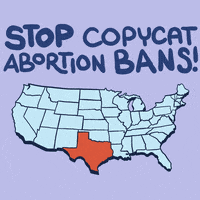 Digital art gif. On an illustrated map of the United States, random states light up in orange, a little mole with a hat popping his head out and being bonked immediately by a mallet. Text, "Stop copycat abortion bans."