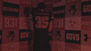 Letsgopeay Asun GIF by Austin Peay Athletics