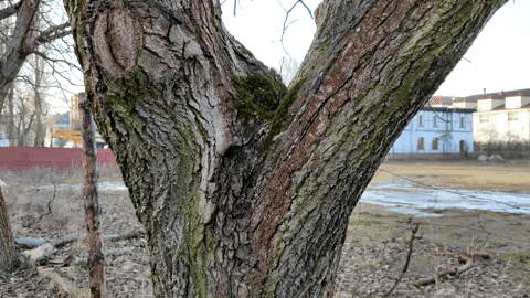 nmyron giphyupload GIF