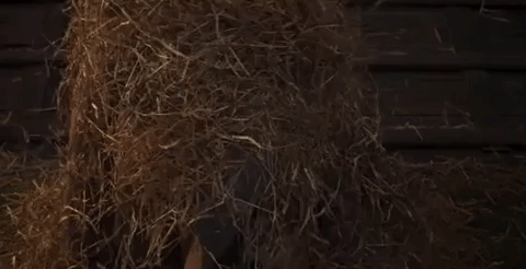 tim burton dumbo GIF