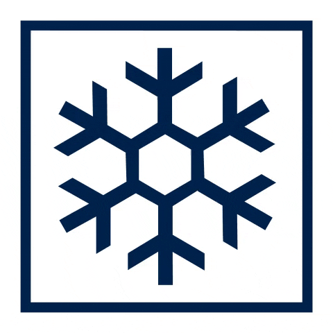 PowderGuide snow snowflake powder powderalarm GIF