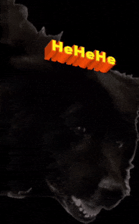 K9GRAPHICS hehehe k9 laughing dog GIF