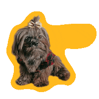 Happy Dog Sticker by Awesome Pawsome Treats