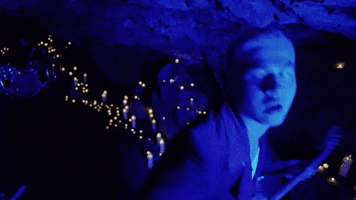 5sos GIF by 5 Seconds of Summer