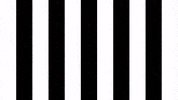 Happy Football GIF by SK Sturm Graz