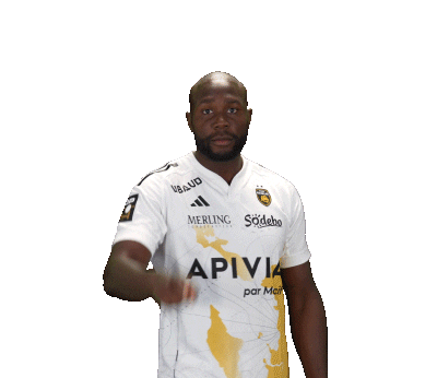 Sport Team Sticker by Stade Rochelais