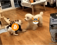 Press Release Fight GIF by Web3 Newswire