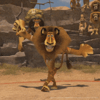 Shocked Ben Stiller GIF by DreamWorks Animation