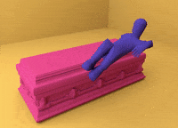 royaebtehaj  GIF