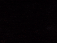 from the ashes portugal GIF by For The Win Esports