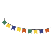 Festa Junina Cacto Sticker by Technology Eventos