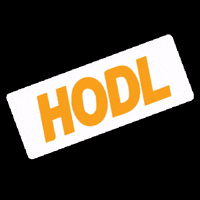 labitcoineta bitcoin hodl bitcoineta labitcoineta GIF