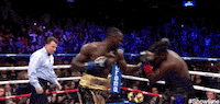 king kong punch GIF by SHOWTIME Sports