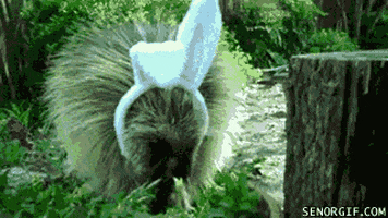 easter GIF by Cheezburger