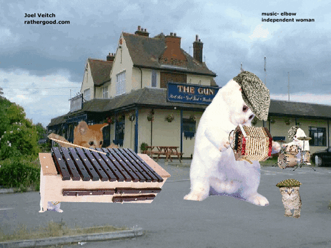 street musician GIF
