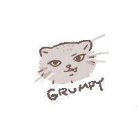 Itori6237 cat grumpy grumpycat numako Sticker