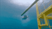 Ocean Swimming GIF by Survivor CBS