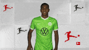 Vfl Wolfsburg Football GIF by Bundesliga