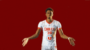 choletbasket sport basketball basket cb GIF