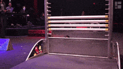 Wiener Dog GIF by segalcentre