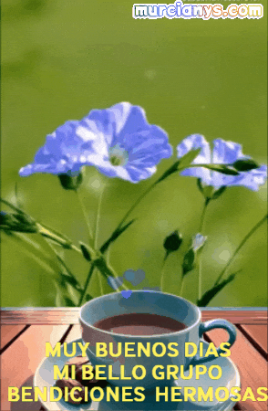Muy Buenos Dias Feliz GIF by Murcianys LLC