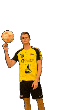 Korfbal Sticker by Korfbalvereniging Tempo