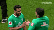 Wohninvest Weserstadion Matchday GIF by SV Werder Bremen