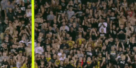 ucf football bounce GIF by UCF Knights