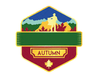 Autumn 가을 Sticker by Medalgo