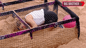 Bbau GIF by Big Brother Australia