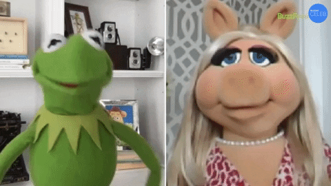 The Muppets Kermit GIF by BuzzFeed
