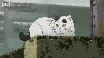 Cowboy Bebop Cat GIF by Adult Swim