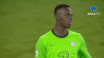 Premier League Football GIF by MolaTV