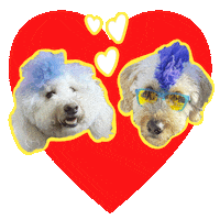 Puppy Love Dogs Sticker by Amazon Prime Video