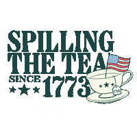 Usa America Sticker by TPUSA Students