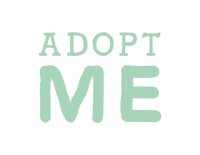 Adopt Dont Shop Sticker by Natural Dog Company
