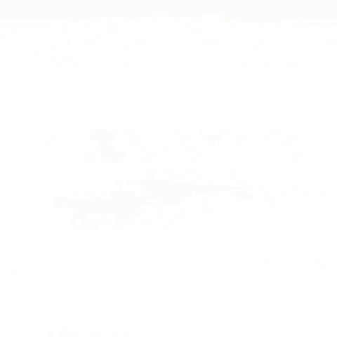konstantinvsedegov giphygifmaker GIF