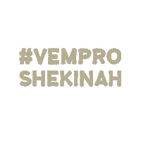 rccdiocesejacarezinho juventude rcc shekinah jacarezinho Sticker