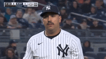 Yankees GIF
