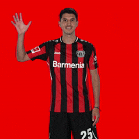 Good Morning Hello GIF by Bayer 04 Leverkusen