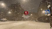 GIF by Professional Secrets