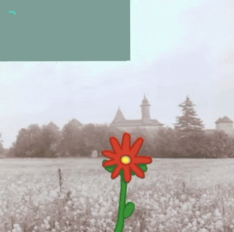Flower GIF by GIF IT UP
