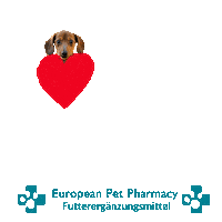 Dachshund Dac Sticker by Europeanpetpharmacy