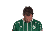 Werder Bremen Sticker by Bundesliga