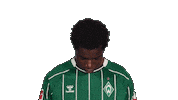 Werder Bremen Sticker by Bundesliga