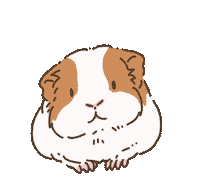 Heart Guineapig Sticker